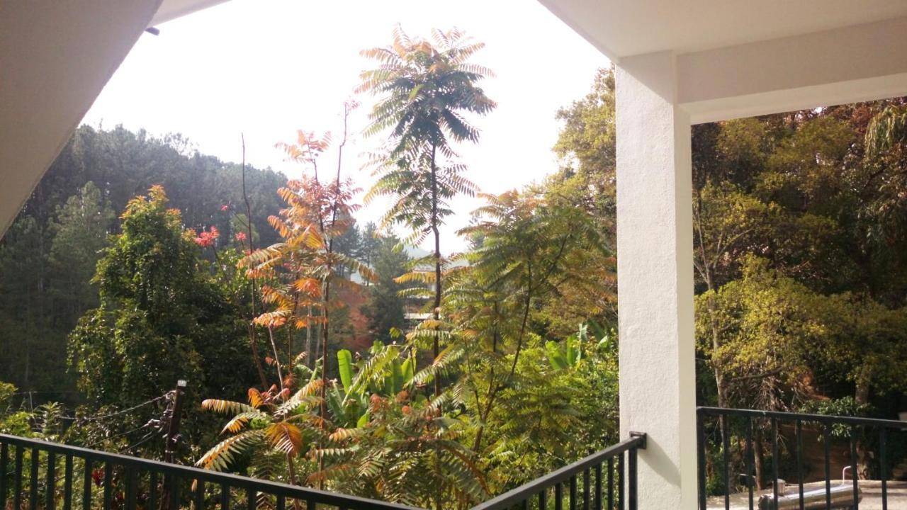 Misty Elegance - Ella. Hotel Kültér fotó